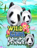 ทดลอง เล่น สล็อต joker โร ม่า ฟรี: เคล็ดลับและวิธีเล่นให้ชนะ